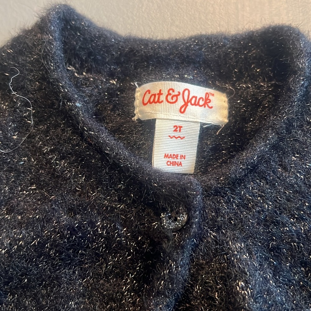 Toddler Girl Size 2T-3T Bundle Fall & Winter Zara, Carters, Cat & Jack, Osh Kosh - Picture 12 of 13
